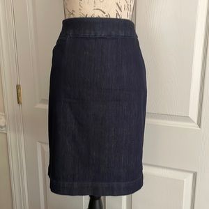 Coldwater creek skirt 2